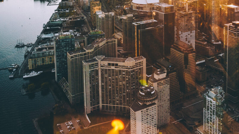 Construction of buildings leads the profit