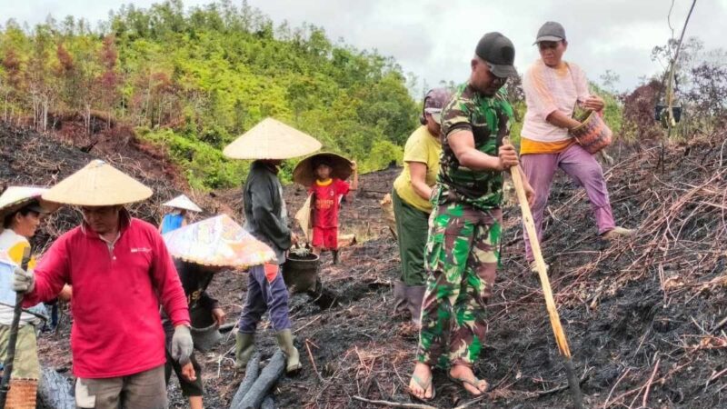 *Satgas Yonzipur 5/ABW Tanam Padi Tingkatkan Swasembada Pangan*