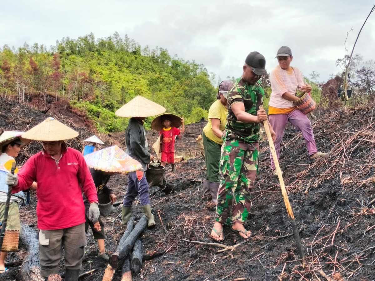 *Satgas Yonzipur 5/ABW Tanam Padi Tingkatkan Swasembada Pangan*