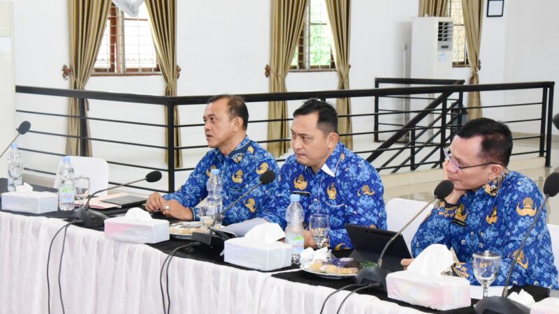 Pemkab Deli Serdang Ikuti Penilaian Interviu Evaluasi SPBE 2024