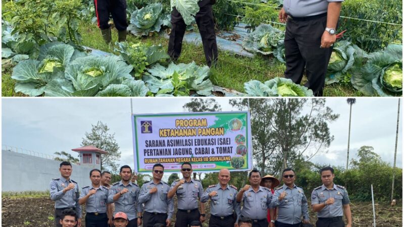Mendukung Ketahanan Pangan, Rutan Kelas IIB Sidikalang Tanam Jagung dan Panen Beragam Hasil Pertanian