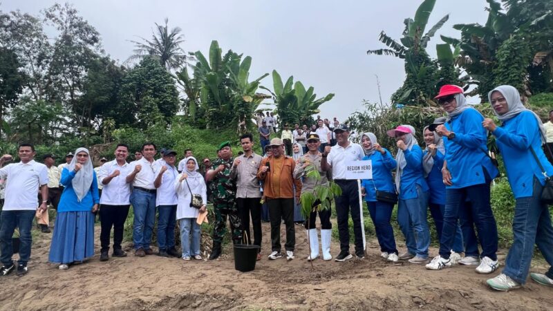 *Rayakan Setahun Transformasi, Regional 1 PTPN1 Antisipasi Abrasi Sungai Blumai*