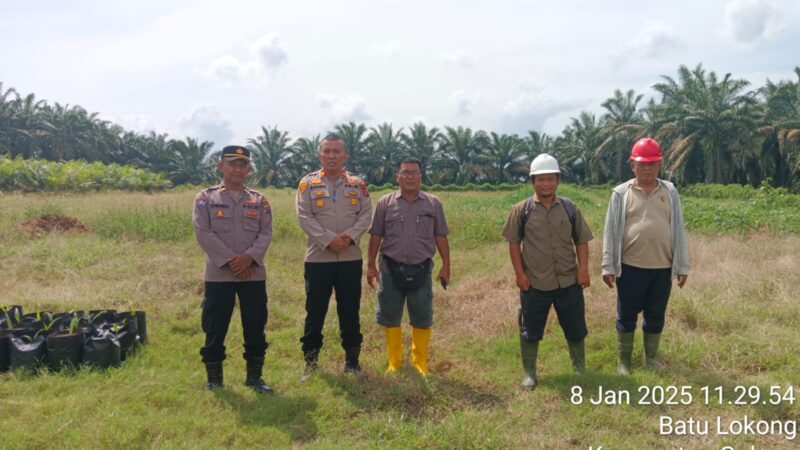 *Polresta Deli Serdang siap gelar Penanaman jagung serentak di 8,016 Hektar lahannya *