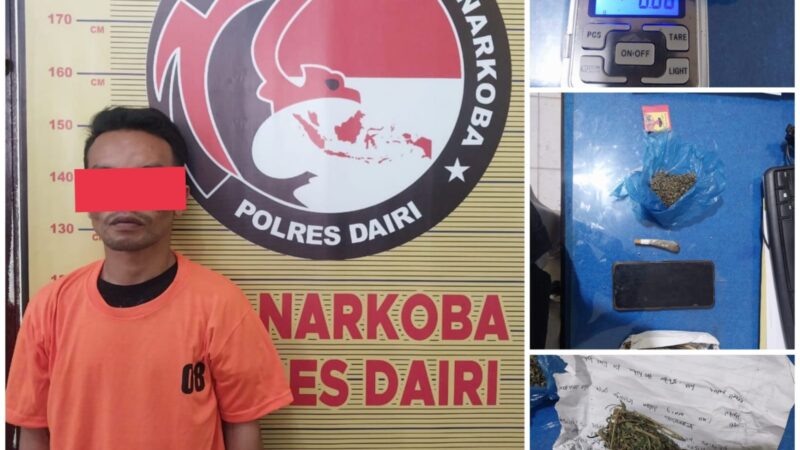 Sat Narkoba Polres Dairi Amankan Pria Atas Kasus Narkotika Jenis Ganja