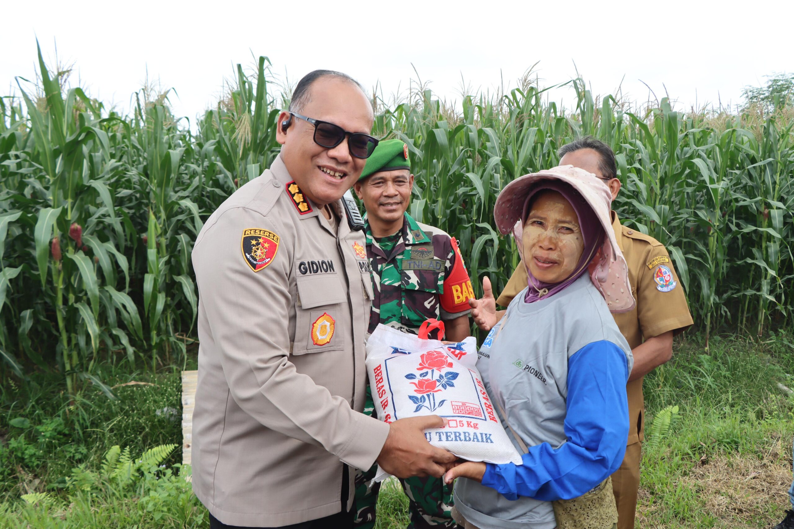 Kapolrestabes Medan Zoom Meeting Penanaman 1 Juta Hektar Jagung Bersama Mentan dan Kapolri