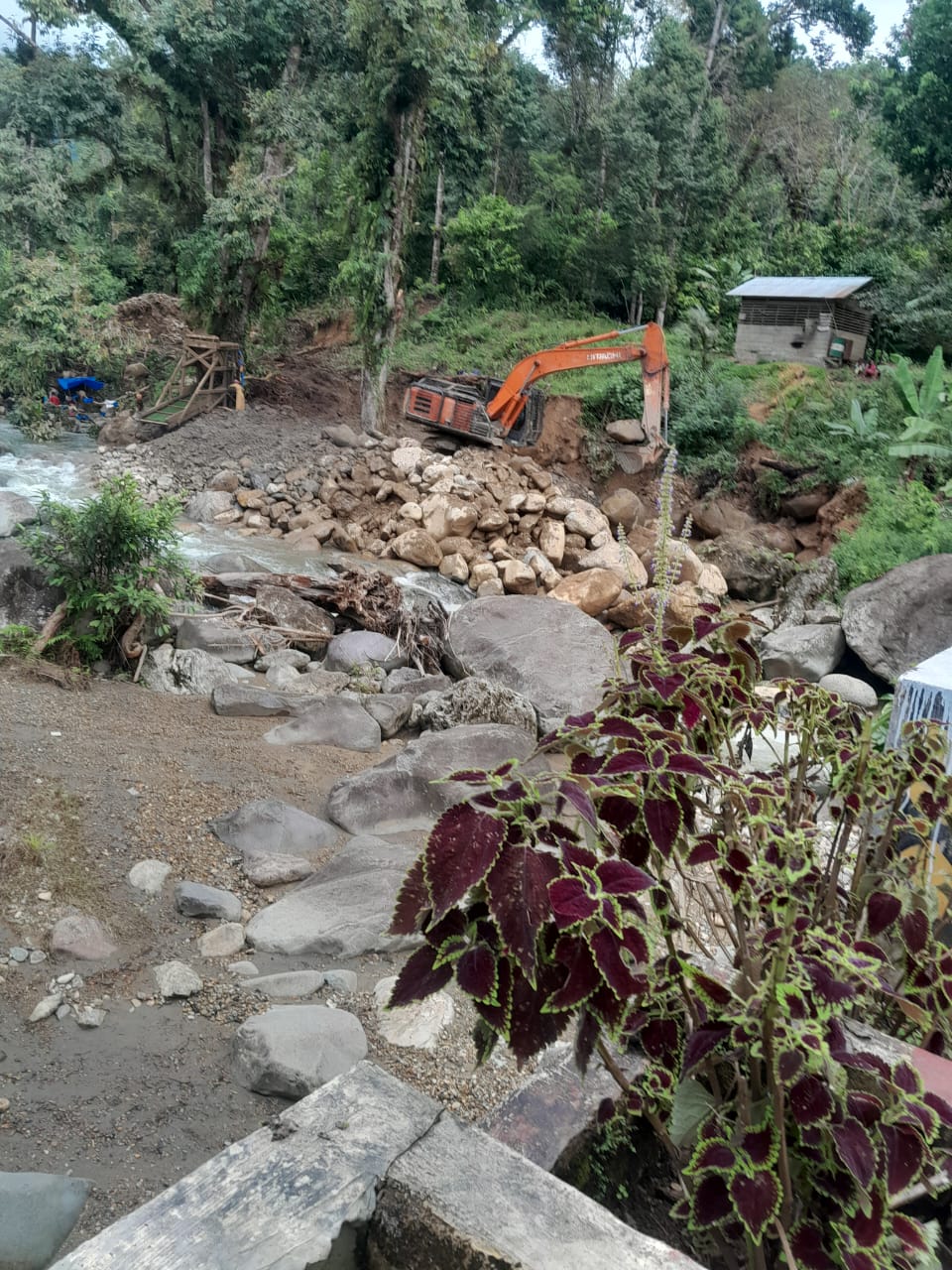 PETI Masih Merajalela, Kapolres dan Forkopimda Didesak Lakukan Razia ke Wilayah Pantai Barat