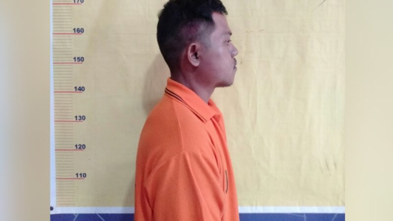 Tim Opsnal Polsek Panipahan Berhasil Tangkap Pembobol Toko Grosir Di jalan Bakti.