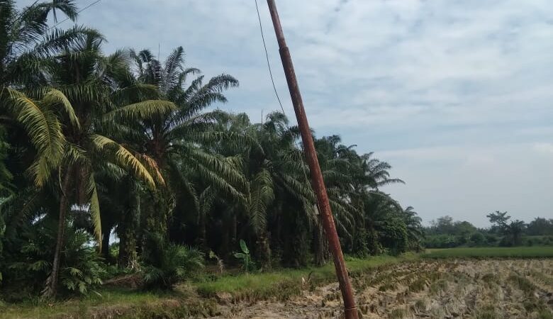 PLN Tidak Perhatikan Tiang Listrik Sudah Bengkok (Tumbang) Bertahun-tahun, Bisa Membahayakan Warga