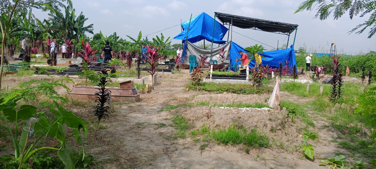 Humisar Sianipar SH : Ekshumasi Ini Dilakukan Untuk Mengetahui Penyebab Kematian Ardiansyah